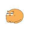 Chonk Cat Obesity