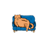 Chonk Cat Obesity
