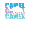Camel Desert Dromedary Hump Caravan