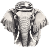 Elephant Pilot