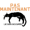 Pas Maintenant- Chat Endormi
