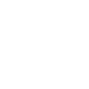 Chonk Cat Obesity