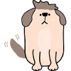 Charmant chiot de compagnie