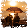 Two pigs enjoying the sunset