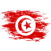 Tunisia flag used