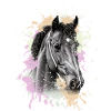 Cheval