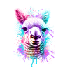 Alpaca