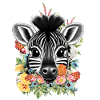 Fleurs de zèbre