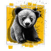 Ursa Minor