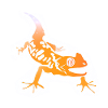 Salamander Gecko Comic