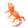 Salamander Gecko Lizard