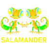 Salamander Gecko Friends