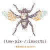 Forest fly