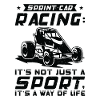 Sprint Car Dirt Track Racing