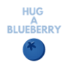 HUG A BLUEBERRY