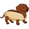 Hot-dog pour chien teckel