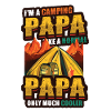 Camping Papa, campfire