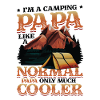 Camping Papa, campfire