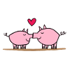 Schweinekuss, küssende Schweine