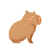 Funny capybara