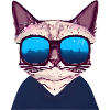 Chat Propriétaire Chat Domestique Chaton