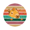 Capybara Orange Memes