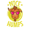 nice humps cool camel dromedary