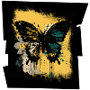 Dark Butterfly Graffiti Print