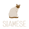 Siamesische Katze Geschenke