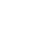 Flat-coated Retriever "Black Edition"