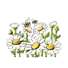 Daisy Love