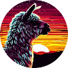 Lama Alpaca Sunset Side View