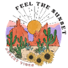 Western Desert Retro 2
