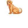 Hund Chien
