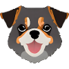 Cute dog