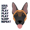 Belgischer Schäferhund Bunt