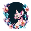 Cat Sphynx Cat Owner Pet
