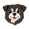 Cute dog
