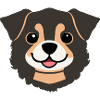 Cute dog