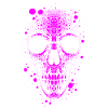 Totenkopf Skull