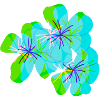 Trippy Flowers