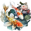 Enchanting koi