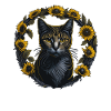 Tournesol chat été chat
