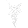 Ange