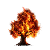 Tree on fire
