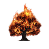 Tree on fire