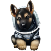 German Shepherd Astronaut