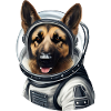 German Shepherd Astronaut