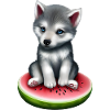 Watermelon Wolf