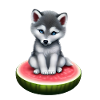 Loup de pastèque